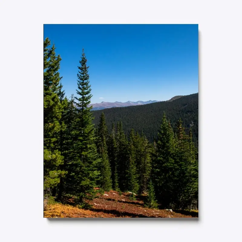 Alpine Terrain, Colorado