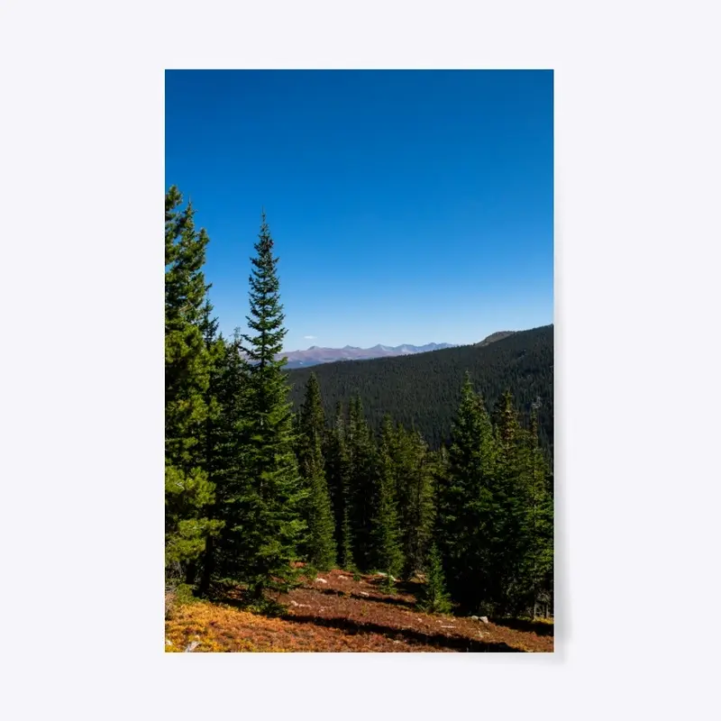 Alpine Terrain, Colorado