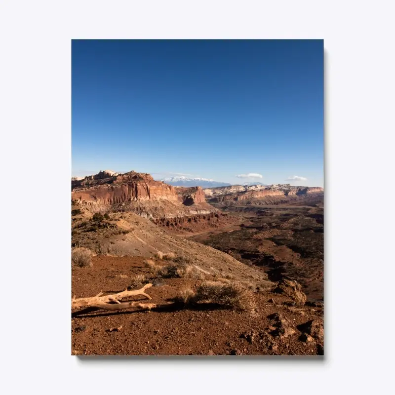 Mountains Meet Desert, Capitol Reef, UT